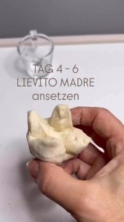 Es ist bald geschafft mit dem Lievito Madre. Im Video hat sich beim Wasser der Fehlerteufel eingeschlichen. Es sind nur 10 g Wasser!!!!
In den Tagen 4-6 wird immer gleich vorgegangen. Solltest du neu dazu gekommen sein, findest du Tag 1 und Tag 2&3 in separaten Posts - schau einfach mal bei den letzten Tagen hier bei mir:

Tag 4-6
————-
20 g Weizenmehl 550
10 g lauwarmes Wasser
15 g Teig von Tag 3 (bzw 4/5)
Teig in eine kleine Schale geben, Wasser dazu und gut verrühren, bis sich der Teig aufgelöst hat im Wasser. Dann das Mehl dazu und so lange miteinander vermischen, bis wieder ein Teig ohne Mehlklumpen entstanden ist. Der Teig sollte nicht kleben und schon recht elastisch sein. Den Teig zu einer Kugel formen, kreuzweise einschneiden, zurück in das hohe Glas mit Deckel geben. Den Deckel wieder nur locker aufsetzen und für 24 Stunden an einem warmen Ort gehen lassen.Der restliche Teig vom Vortag wird in einem separaten Glas gesammelt und im Kühlschrank aufbewahrt.

Dann geht’s bald weiter mit Tag 7 und folgende
______
#lievitomadre #sauerteig #sourdough