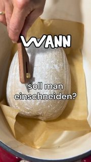 WANN & WARUM schneidet man einen Teigling überhaupt ein?
Beim Backen im heißen Ofen entwickelt dein Teig noch mal so richtig Ofentrieb und geht auf. Die Oberfläche jedoch wird schon schneller fest, bevor die maximale Größe des Laibes erreicht ist. Schneidest du dein Brot nicht ein, wird es unkontrolliert aufbrechen. Das ist natürlich überhaupt nicht schlimm und es ist für den Geschmack und die Kruste auch gar nicht entscheidend. Oftmals ist es eher die Optik am Ende.
Wenn du deinen Teigling einschneidest, dann gibst du ihm die Stelle vor, wo er kontrolliert in wachsen kann.
Doch nun zu Zeitpunkt, Werkzeugt, Technik und Co.
 
⏰ Zeitpunkt: 
Kurz bevor der Teigling in den Ofen kommt. Ich ziehe den Schnitt nach 5 min Backzeit dann noch mal nach, da es passieren kann dass sich der Einschnitt beim Einsetzen in den Topf wieder etwas verklebt. Und ich geben dann noch mal Eiswürfel dazu, was für einen schönen Ofentrieb sorgt.

⚒️Werkzeug: 
Eine scharfe Rasierklinge (Bäckermesser) eignet sich am besten für feine Schnitte.

🔪Technik: 
Ein 45-Grad-Winkel erzeugt schöne Risse (oft „Öhrchen“ oder „Segel“ genannt).

🅰️Alternative:
Ein neuerer Trend ist das Einschneiden nach ca. 2-5 Minuten Backzeit, was bei aufwendigen Mustern hilft, da der Teig sich fester anfühlt bzw. der Einschnitt beim Einsetzen in den Gusstopf nicht verkleben kann.

💡Tipp:
Kalte Teiglinge (z.B. aus dem Kühlschrank oder 30 min vorm Backen in die TK geben) lassen sich fester und somit präziser einschneiden. Muster klappen besser, da der Teigling besser seine Form hält
 
Probier doch gerne mal verschiedene Varianten aus. Ich persönlich war von dem Einschneiden nach 5 min backen schon echt begeistert.

Wie machst du es?

#sauerteigbrot #sourdoughbread #einschneiden #brotbacken