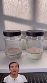 Wenn du glaubst, dass dir bestimmte Dinge nie passieren werden, dann wirst du oftmals eines Besseren belehrt!
Ich habe immer gedacht, dass mein Sauerteig nicht stirbt. Bin ja immer fleißig am Füttern.
Doch dann ist es doch passiert 😲.
Irgendwie ist es mir tagelang durchgegangen – der Sauerteig stand natürlich auch nicht im Kühlschrank und schwupps ist er ohne Vorwarnung (kein Fusl oder ähnliches) einfach kaputt ☠ gegangen. Er roch noch nicht einmal streng. Ich habe etwas davon abgenommen und 1:2:2 (10 g Ansatz, 20 g Wasser, 20 g Mehl) gefüttert, aber nach 3 Tagen warten, war es klar: Er ist hin⚰!
Aber ich hatte mir natürlich im Herbst ein Backup durch Trocknen von hochaktivem Sauerteig gemacht (hatte es hier auch als Reel) 💪.
➡️Davon habe ich 10 g genommen und
➡️in einem Mörser möglichst fein zerstoßen.
➡️Das habe ich in ein sauberes Marmeladenglas gefüllt und
➡️10 g lauwarmes Wasser dazu gegeben.
➡️Dann erst mal ordentlich rühren, bis das Wasser milchig aussieht (komplett auflösen wird es sich nicht!).
➡️Dann noch 10 g Mehl dazu (ich: Weizen Typ 1050),
➡️gut verrühren (ist etwas fester), Seiten runterschieben, Deckel drauf und warten.
 
🕰Nach 24 Stunden hatte sich noch nichts getan. Ich habe dann noch einmal
➡️ 20 g Wasser und 10 g Mehl dazu gerührt und
🕰nach 12 Stunden war er richtig gut aufgegangen und schon wieder auf dem Rückweg.
 
Diesen Ansatz habe ich dann immer 1:2:2 für 3 Tage gefüttert, damit er wieder zu Kräften 💪 kommen konnte, bevor der Sauerteig dann für sein erstes Brot 🥖angefüttert wurde.
 
‼Ich kann nur jedem raten: mach dir mindestens 1 Backup, lieber 2 oder 3! ‼
Entweder als Trockensauerteig, im Kühlschrank oder auch Einfrieren ist möglich.

#sauerteig #sauerteigansatz #sourdough #sauerteigtipps #sauerteigbrot