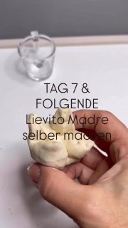 Tag 1 -6 findest du in vorherigen Reels falls du sie verpasst hast. Es gibt auch ein Highlight dazu.
In den Tagen 7 und folgende habe ich den Lievito Madre immer gleich gefüttert, habe die LM-Ansatz-Menge auf 20 erhöht (die Reste habe ich in einem Glas gesammelt und im Kühlschrank gelagert und zwischenzeitlich in meinen anderen Broten mit verbacken - kleine Mengen fallen nicht auf). Er wird immer kräftiger und bekommt immer mehr Blasen. Da ich keine Eile habe, gebe ich ihm Zeit Kraft zu tanken. Du erkennst einen gute LM daran, dass er nach dem Füttern in den nächsten 12-24 Stunden wirklich richtig gut aufgeht und mit vielen Blasen durchzogen ist. Nur dann kann er auch im Brot so aufgehen! Ist das der Fall, kannst du deinen LM passend für ein Brot hochfüttern. 
Z. B. Wenn du für dein Brot 130 LM brauchst, dann nehme ich 
50 LM-Ansatz, 50 g Wasser und 100 g Mehl. So bekommst du 200 g LM und davon behältst du dann 70 g als neuen Ansatz zurück, den du im Kühlschrank lagern kannst für die nächsten 8-10 Tage ohne füttern. So hast du immer einen LM parat für weitere Brote.

Tag 7 und folgende
————-
20 g Weizenmehl 550
10 g lauwarmes Wasser
20 g Teig vom Vortag
Teig in eine kleine Schale geben, Wasser dazu und gut verrühren, bis sich der Teig aufgelöst hat im Wasser. Dann das Mehl dazu und so lange miteinander vermischen, bis wieder ein Teig ohne Mehlklumpen entstanden ist. Der Teig sollte nicht kleben und schon recht elastisch sein. Den Teig zu einer Kugel formen, kreuzweise einschneiden, zurück in das hohe Glas mit Deckel geben. Den Deckel wieder nur locker aufsetzen und für 24 Stunden an einem warmen Ort gehen lassen.Der restliche Teig vom Vortag wird in einem separaten Glas gesammelt und im Kühlschrank aufbewahrt.

#lievitomadre