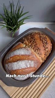 Buttermilch-Zwilling oder besser vielleicht Ratzi-Fatzi-Brot, dann das Brot war nach 1 Stunde schon fast weg.
Lauwarmes Brot ist auch einfach unfassbar gut. Die Buttermilch macht diese Brot schön feucht und der Zaubermeister sorgt für eine tolle Kruste.
Heute Morgen um 10:30 habe ich den Hefeteig angesetzt, nach 4 Stunden Gehzeit ist es in den Zaubermeister gewandert, noch mal 20 min Ruhe und dann gebacken.
Sofort auf ein Gitter zum Auskühlen gesetzt und nach der minimalsten Auskühlzeit sind schon alle drüber hergefallen.
 
150 g Buttermilch
150 g Wasser
10 g Honig
5 g Hefe
10 g Öl
8 g Salz
50 g Roggenmehl 1050
200 g Emmermehl (o. Dinkelmehl 630)
150 g Dinkelmehl 1050
 
Alles zu einem elastischen Teig kneten, 4 Stunden Ruhe an einem warmen Ort (nach 30 & 60 min je 1x Dehnen & Falten)
Wenn der Teig deutlich an Volumen zugelegt hat und Blasen zeigt ist er gut
Auf eine leicht bemehlte Fläche geben, in 2 gleichgroße Stücke teilen und rundwirken
1 Teigling befeuchten und durch Saaten wälzen, den anderen natur belassen
Kleinen Zaubermeister etwas fetten und bemehlen – Deckel auch einfetten!
Beide Teigkugeln hineinsetzen, Deckel drauf15-20 min Ruhe
Ofen auf 230 Grad O/U-Hitze vorheizen
Teiglinge einschneiden, Deckel wieder drauf.
Für 45 min backen, unterste Schiene, auf einem Gitter
Decke ab und noch mal 5-10 min für die Bräune
Auf ein Gitter stürzen und auskühlen lassen.
 
Unbedingt ausprobieren!
Falls du auch so einen tollen Topf brauchst, der dir deinen eigenen Steinofeneffekt erzeugt, schreib mir gerne 📨

#einfacherezepte #brotbacken #brotbackenmachtglücklich #hefe #backen