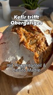 Kefirbrot mit Ducksteiner (Obergäriges Bier) und Roggenanteil
Dieses Brot habe ich vor langer Zeit schon mal gezeigt. Wir hatten auf dieses leckere Mischbrot mit Roggenanteil mal wieder Lust.
Dafür habe ich 36 Stunden vorher einen Teil meines Weizensauerteiges umgezüchtet zu einem Lievito Madre.
Ich verwende für dieses Brot 120 g aktiven Lievito Madre.
 
🥄 120 g aktiven Lievito Madre
🥄 170 g Schwarzbier (oder anderes dunkles Bier)
🥄 80 g Kefir (Alternativ Buttermilch od. Joghurt)
🥄 260 g Weizenmehl Backstark Typ 550
🥄 80 g Roggenmehl Typ 1150
🥄 80 g Roggenvollkornmehl
 
🥄 12 g Salz
🥄 20 g Schwarzbier
 
➡️LM mit Bier und Kefir aufschlemmen (gut verrühren)
➡️Mehl dazu und ca. 3 min auf kleiner Stufe kneten, bis keine Mehlnester mehr zu sehen sind
➡️30 min Ruhe – abdecken nicht vergessen
➡️Jetzt wird der Teig ausgeknetet – dazu wird das Salz und in kleinsten Mengen das Bier langsam zugegeben, bis ein geschmeidiger Teig entstanden ist
➡️abdecken 2 Stunden Ruhe: Dehnen & Falten bei 30,60,90,120 min
➡️2-4 Stunden Ruhe, bis sich der Teig deutlich vergrößert hat und Blasen zeigt
➡️auf einer leicht bemehlten Arbeitsfläche vorformen – 30 min Ruhe
➡️endgültig formen und in ein bemehltes Gärkörbchen mit Verschluss nach unten geben
➡️über Nacht in den Kühlschrank
🔥 Ofen mit einem Stein bei 250 Grad ⏰ ca. 20 min vorheizen (und ein Backblech darunter, wer keinen Ofen mit Dampf hat)
➡️den Laib auf den Stein geben mit dem Verschluss nach oben
➡️in den Ofen geben und sofort bedampfen (Wasser in das Backblech gießen)
🔥 runter auf 200 Grad – ⏰ nach ca. 30 min den Dampf ablassen – ⏰ weitere 20 min backen
➡️wenn das Brot beim Klopfen leicht hohl klingt, ist es gut
➡️auf einem Gitter mind. 1 Stunde auskühlen lassen

Am Abend war das Brot schon halb aufgegessen.
Viel Spaß beim Nachbacken.
Wie man Weizensauerteig umzüchtet, findest du hier in einem Reel ein paar Tage vorher.
Wie man sich eine LM – Alternative macht, habe ich ebenfalls in einem Reel ein paar Tage vorher gezeigt – einfach mal ein paar Posts zurück gehen.
Ansonsten findest du auch alle Infos auf meiner Homepage (Link in der BIO)

#lievitomadre #sauerteigbrot #brotbacken #brotbackenmachtglücklich #bierbrot