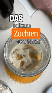 ❓nur so wenig Anstellgut soll reichen um weiter Sauerteig zu züchten ❓
Man kann es sich kaum vorstellen, aber es ist nur eine geringe Menge an Sauerteig nötig, um damit weiter zu züchten.
Ich habe es ausprobiert und im Zeitraffer festgehalten. Nach knapp 24 h war der Sauerteig bei Raumtemperatur an seinem Peak
🥣 Es reicht aus das Sauerteigglas mit den wenigen Resten, die darin kleben, einfach mit etwas lauwarmen Wasser (30-35°) auszuspülen.
📌Ich mache das mit ca. 50 g Wasser,
📌fülle es in ein sauberes Glas,
📌dann noch 50 g Mehl dazu,
📌verrühren,
📌Deckel drauf und
📌lasse es z.B. im etwas ❄kühleren Keller (14°) stehen, dann braucht der Sauerteig etwas länger, bis er seinen Höhenpunkt hat.
Du kannst ihn aber auch, wenn er angesprungen ist, in den 🥶Kühlschrank geben – dann braucht er noch länger ⏰.

Lust auf mehr zum Thema Sauerteig?
Dann folge mir gerne 😃
Fragen ??? Schreib mir einfach!
Wie man Füttert, findest du auch hier auf meinem Blog.
 
#sauerteig #sourdough #rundumsauerteig